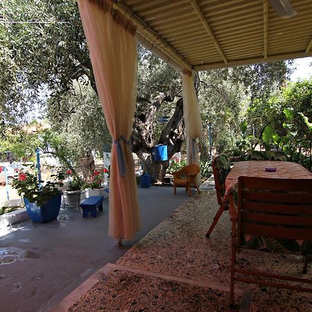 Joanna'S House Villa Skála Kallirákhis Dış mekan fotoğraf