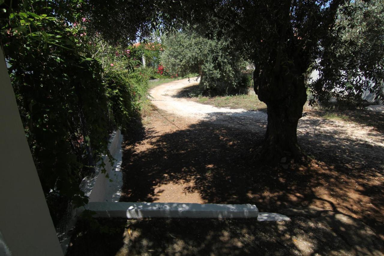 Joanna'S House Villa Skála Kallirákhis Dış mekan fotoğraf