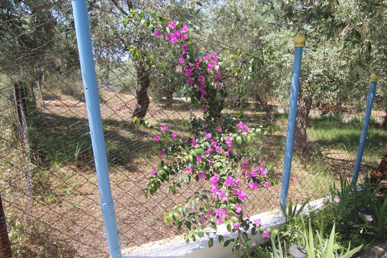 Joanna'S House Villa Skála Kallirákhis Dış mekan fotoğraf
